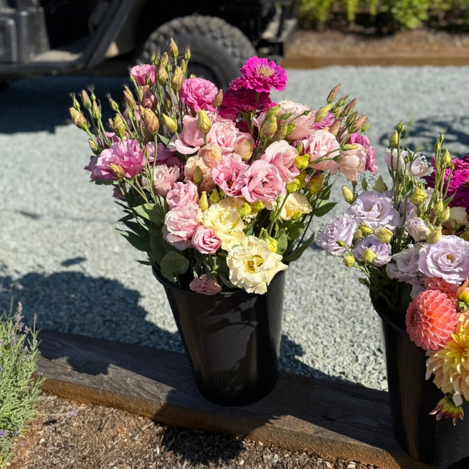 Two flower pots with colorful flowers on a gravel surface with a golf cart in the background.