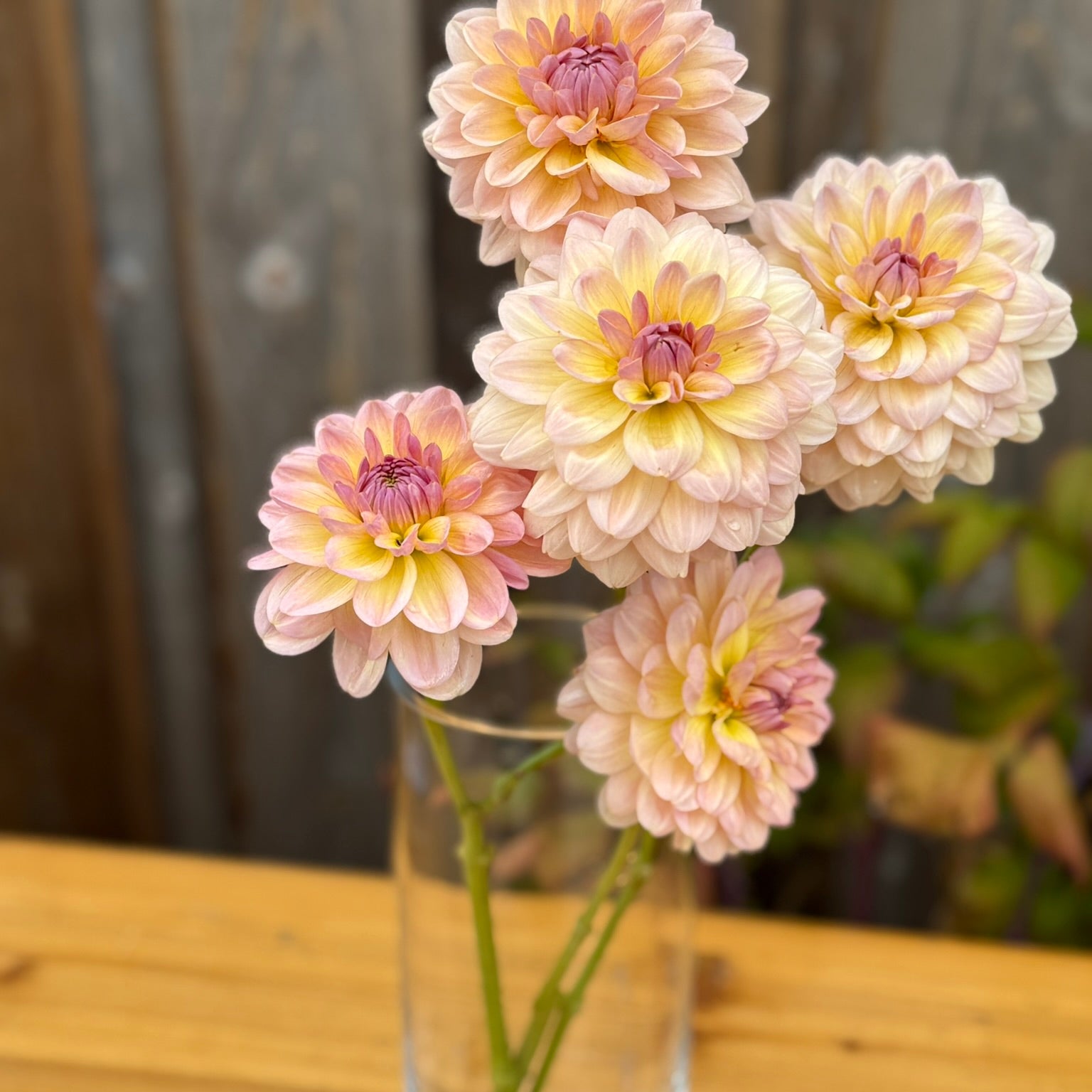 Clear glass vase with light pink and white flowers on a wooden surface