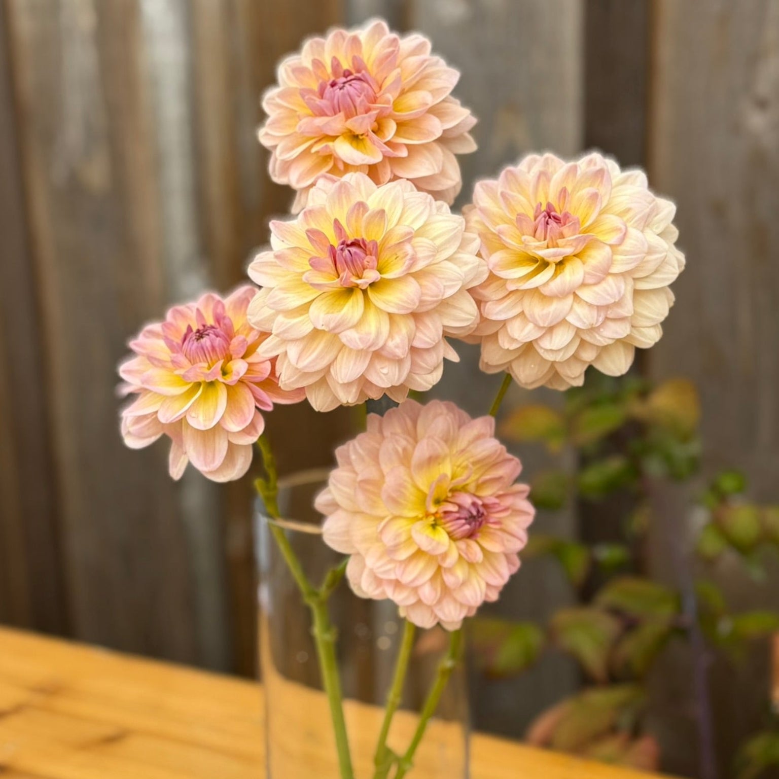 Clear glass vase with pink flowers on a wooden surface