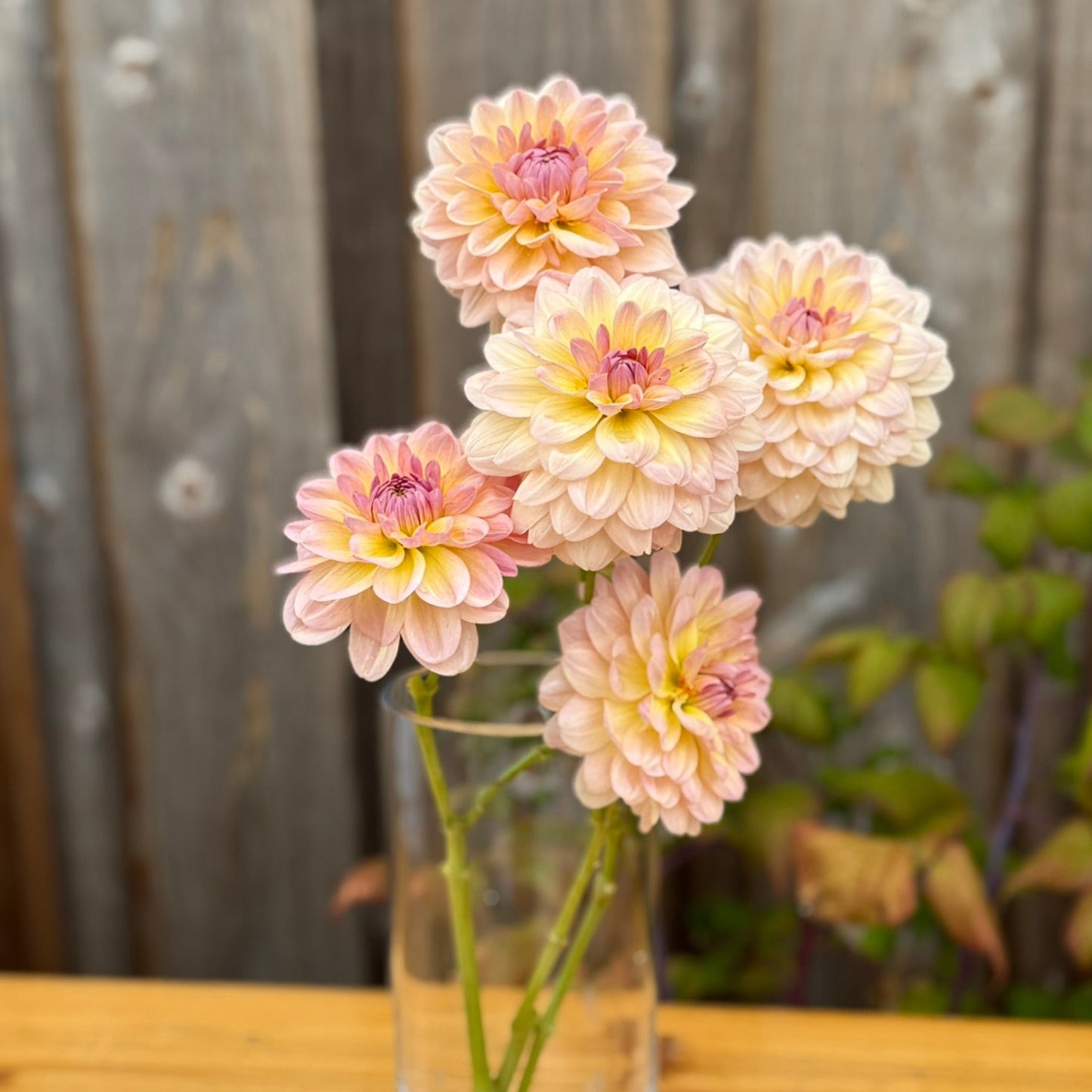 Clear glass vase with pink and yellow flowers on a wooden surface