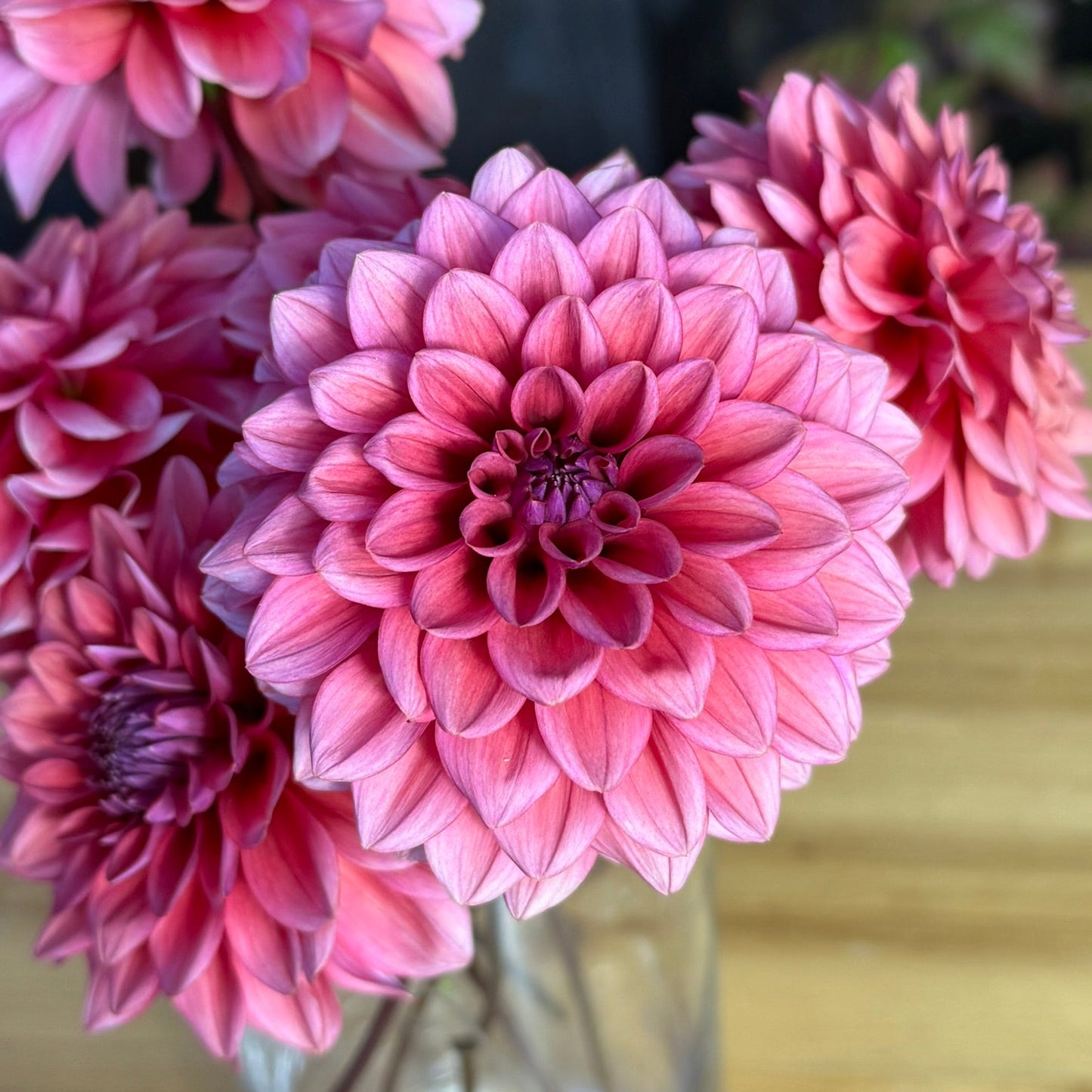 Pink dahlias in a clear vase on a wooden surface