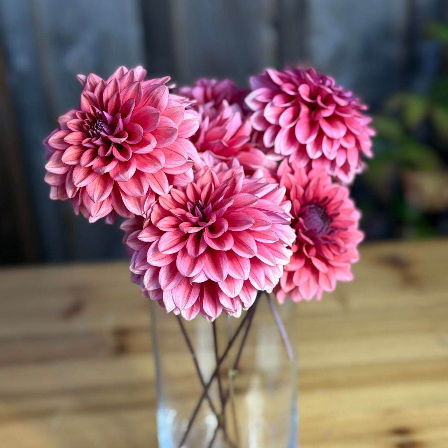 Pink flowers in a clear vase on a wooden surface with a blurred background