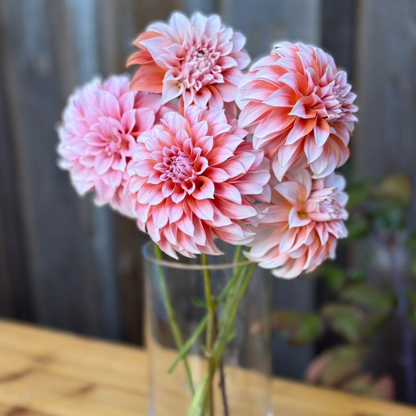 Pink flowers in a clear vase on a wooden surface with a blurred background