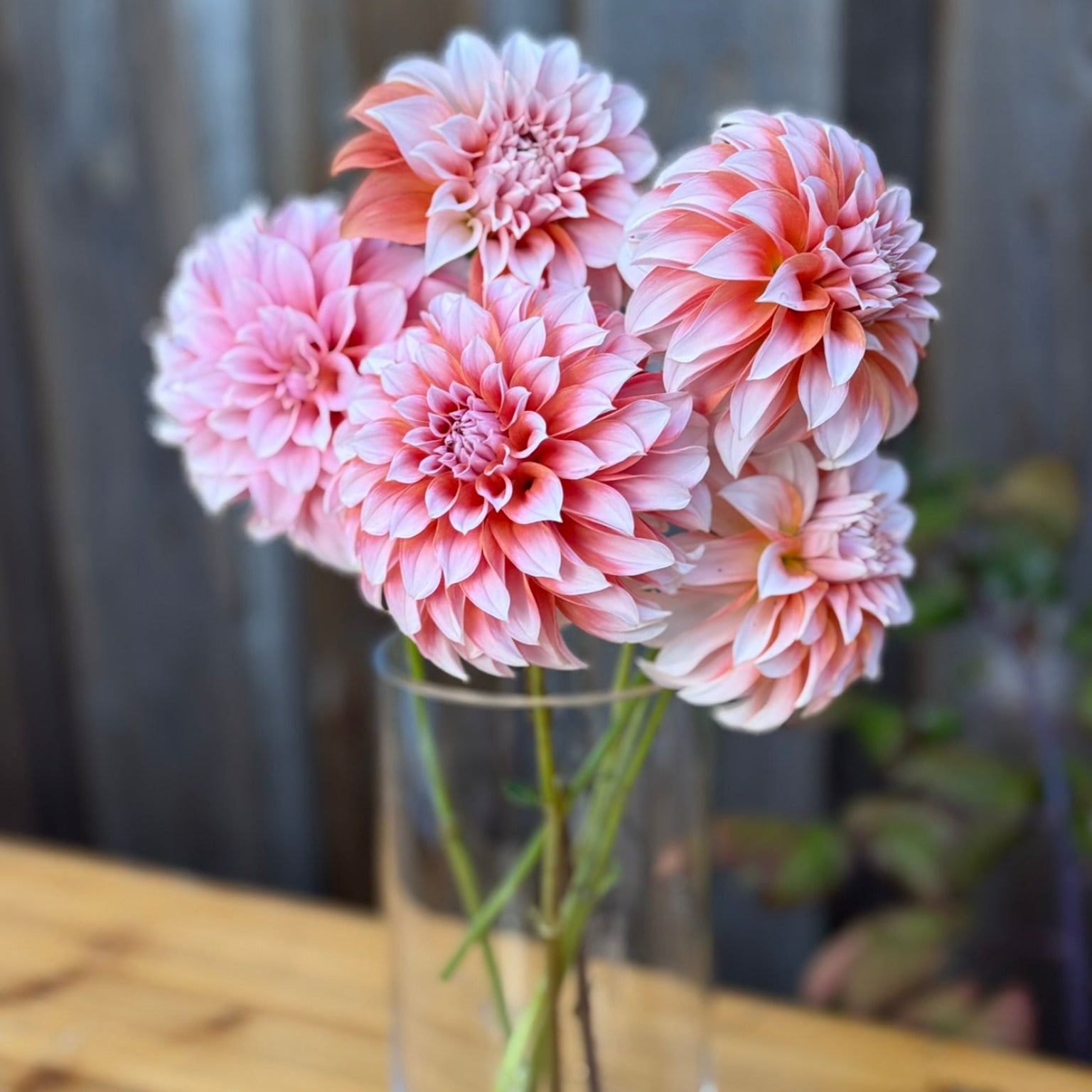 Pink flowers in a clear vase on a wooden surface with a blurred background
