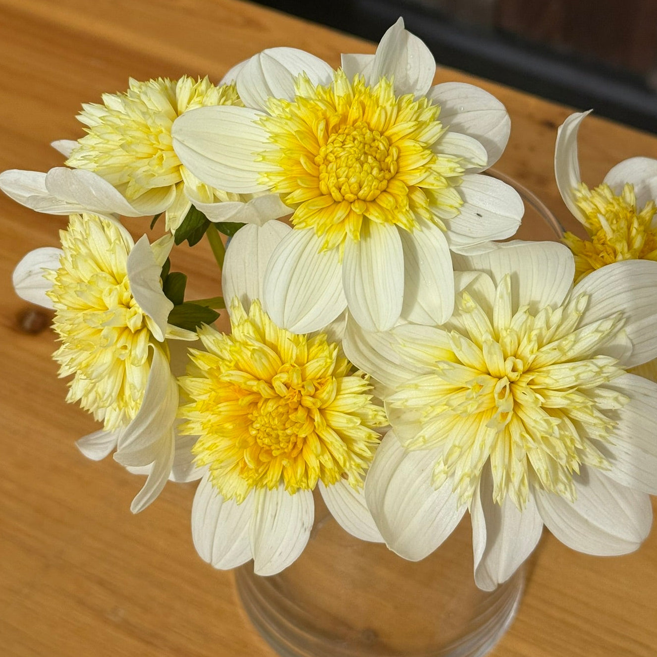 Yellow and white flowers in a glass vase on a wooden surface