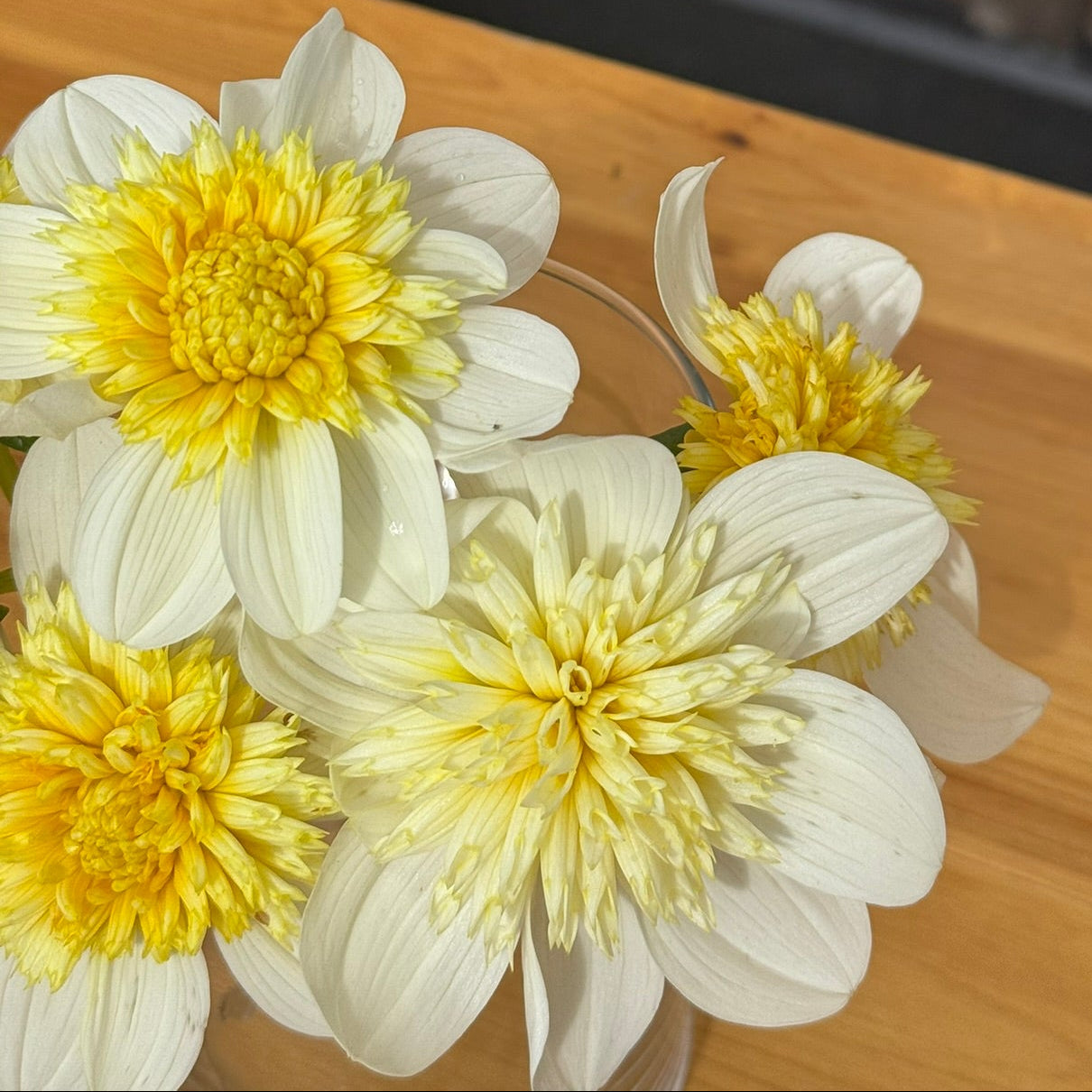 Yellow and white flowers on a wooden surface with a blurred background