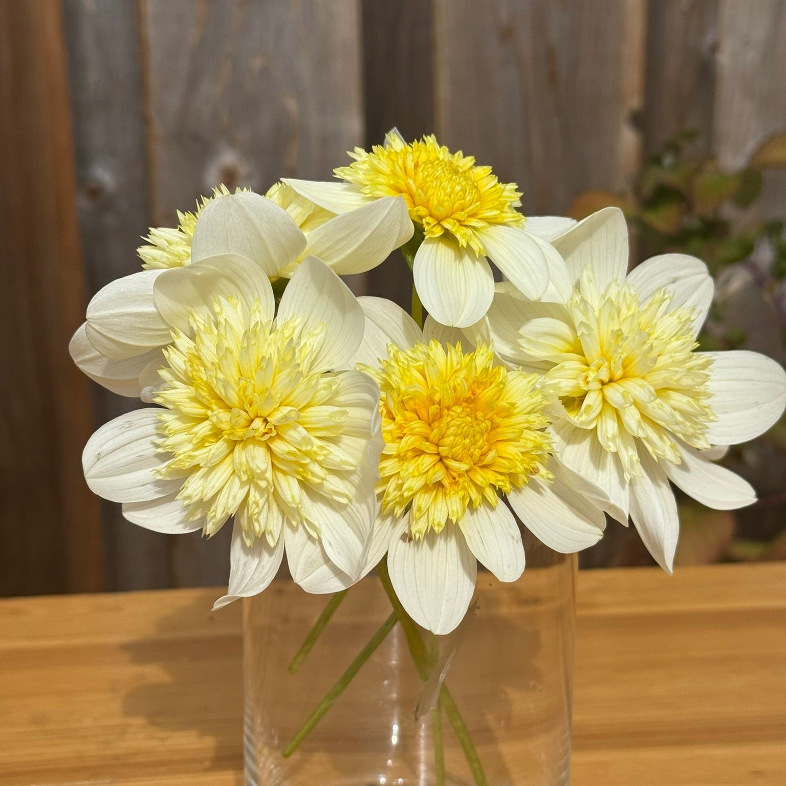 Clear glass vase with yellow and white flowers on a wooden surface