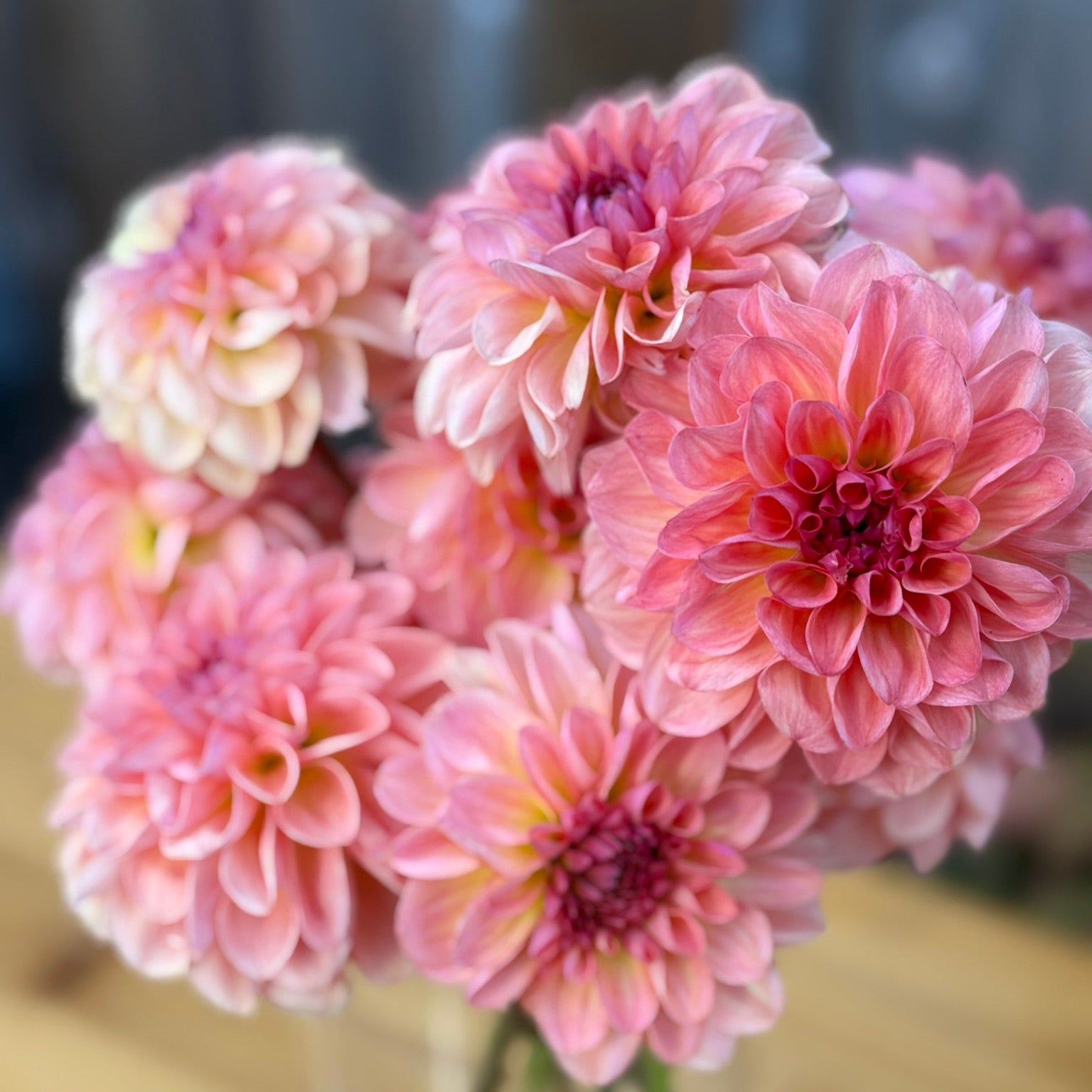 Pink flowers in a vase on a wooden surface with a blurred background