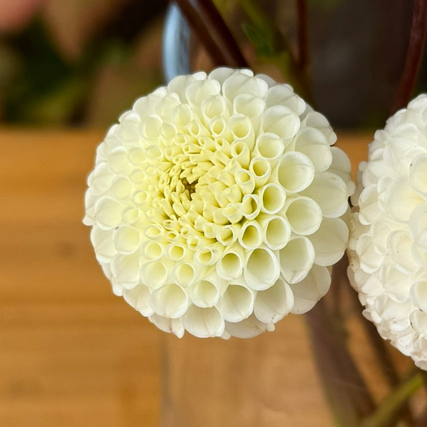 Clear vase with white flowers on a wooden surface