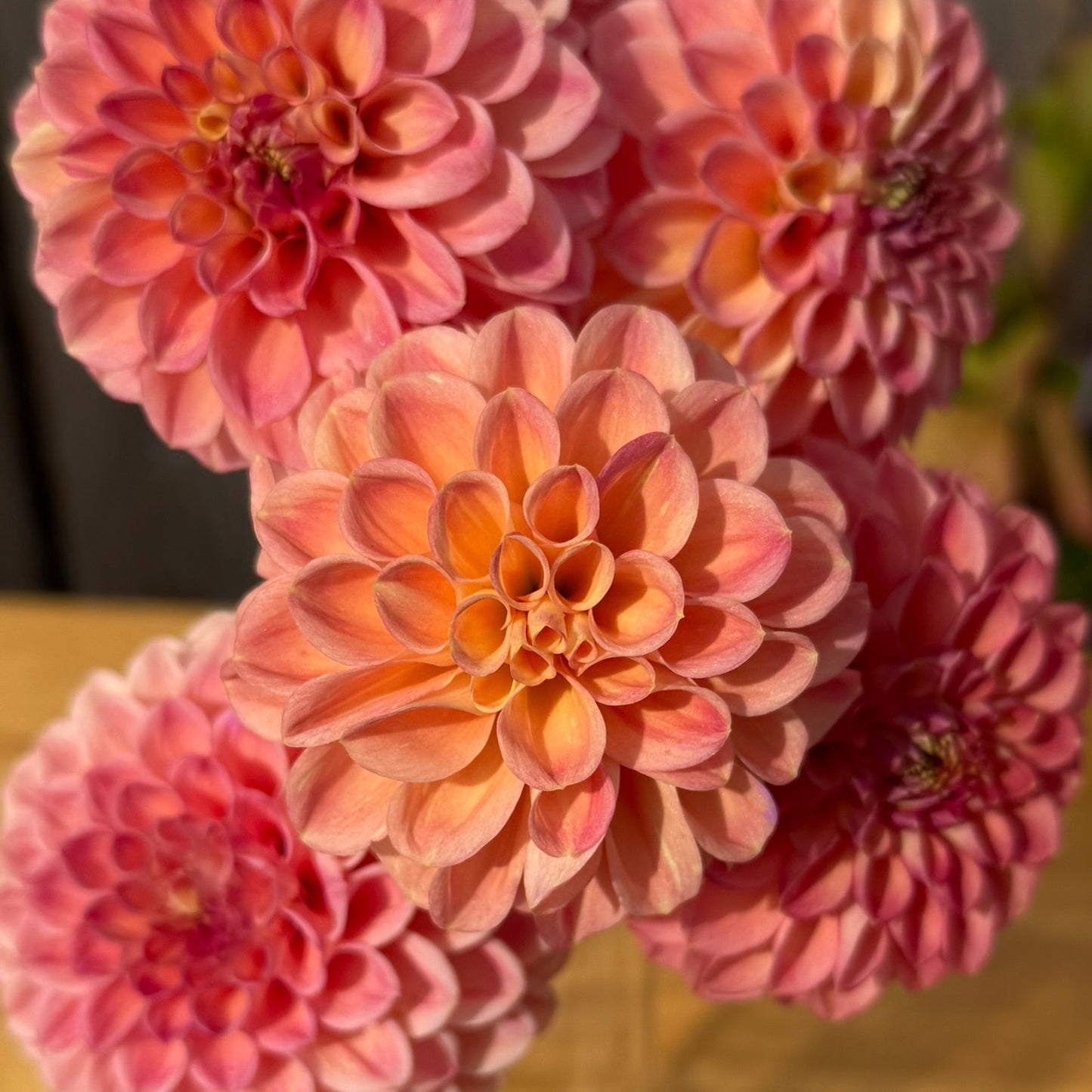 Bouquet of pink and peach dahlias in a clear vase on a wooden surface.