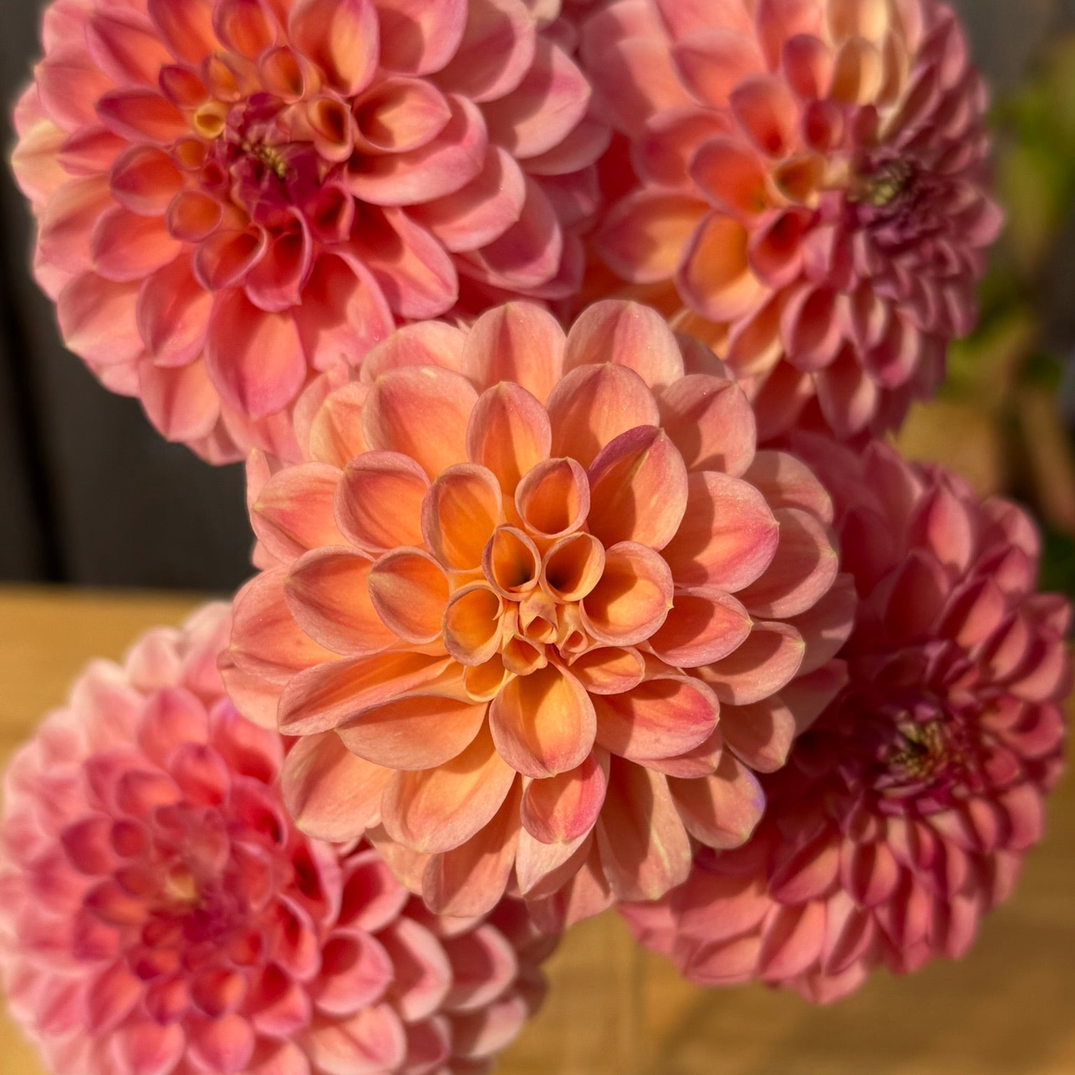 Bouquet of pink and peach dahlias in a clear vase on a wooden surface.