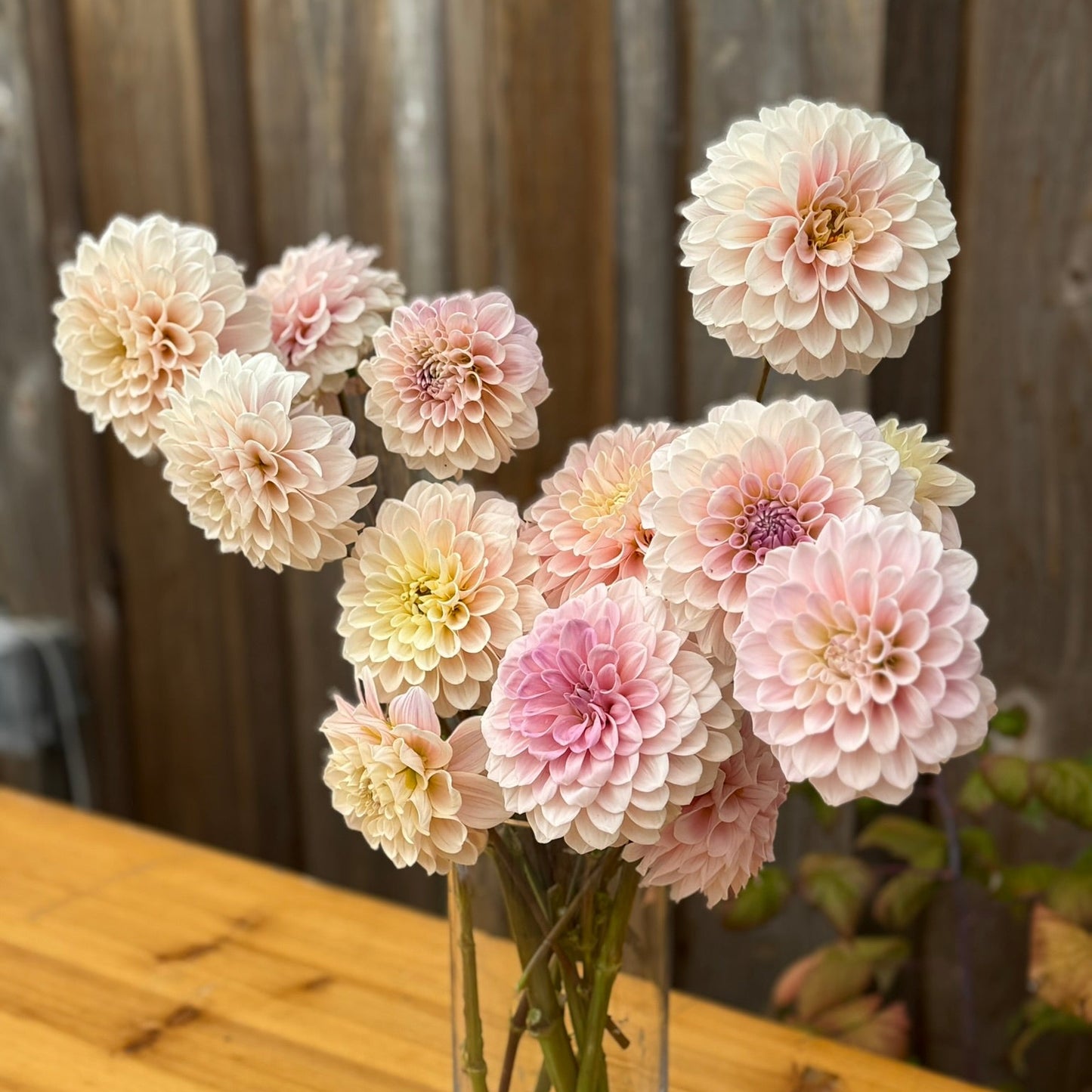 Clear vase with light pink and white flowers on a wooden surface