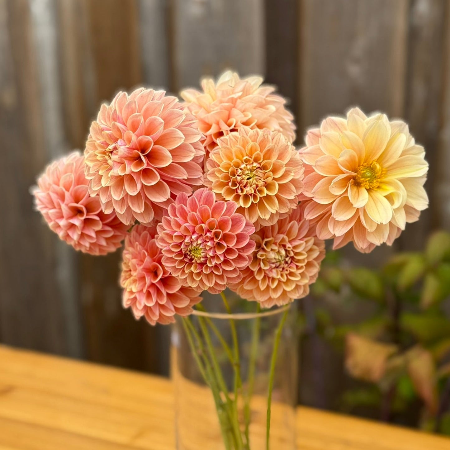 Vase with pink and yellow flowers on a wooden surface