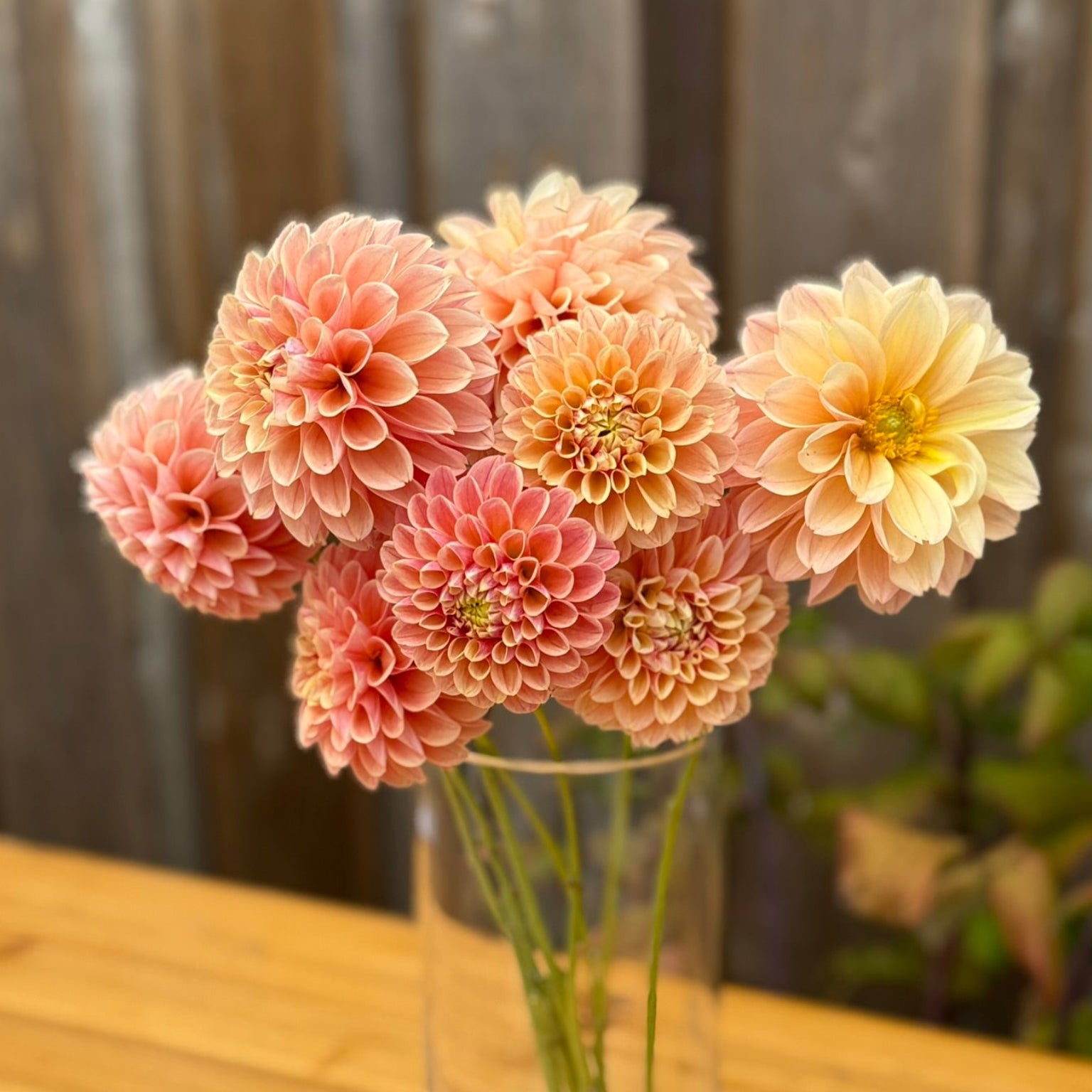 Vase with pink and yellow flowers on a wooden surface
