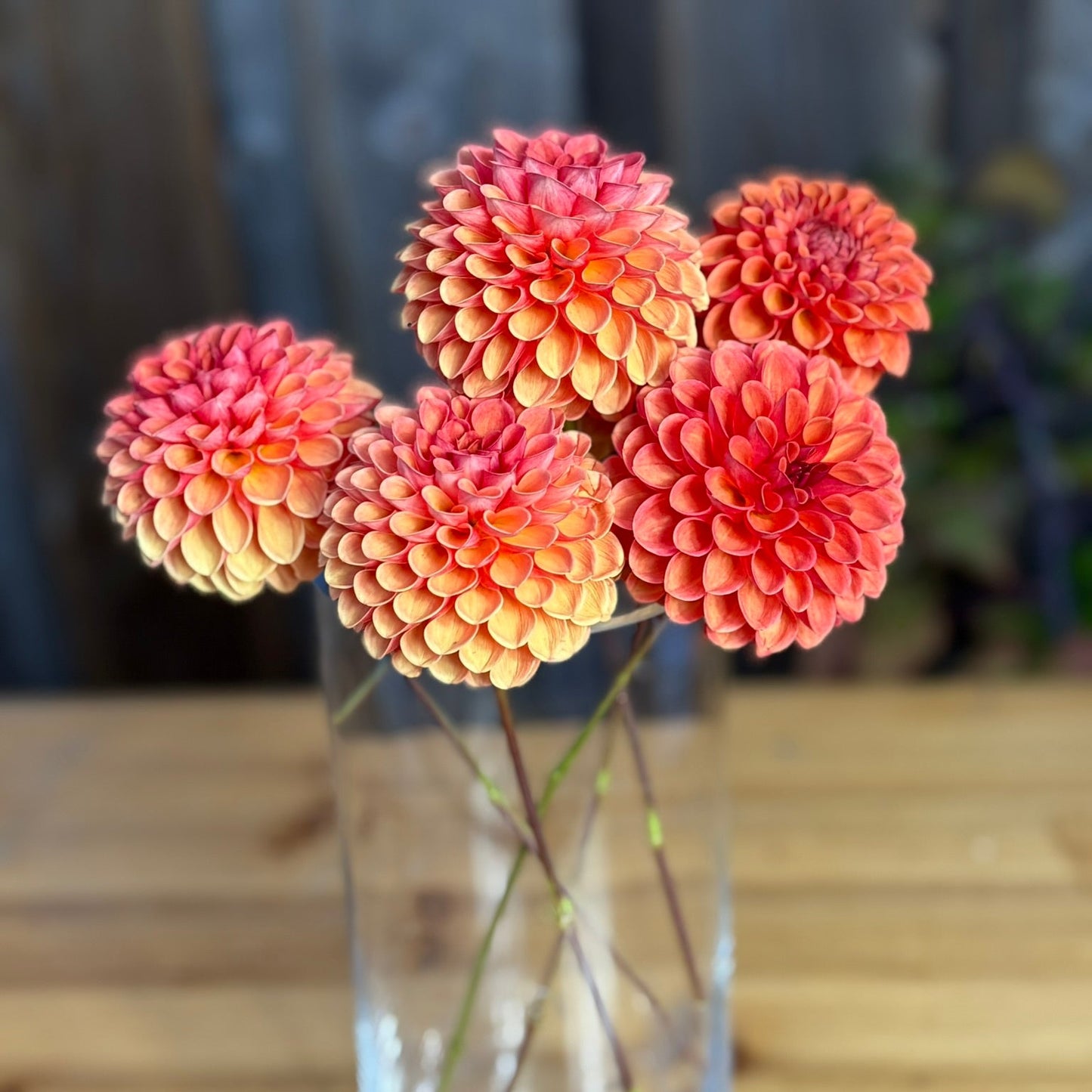 Clear glass vase with orange and pink flowers on a wooden surface
