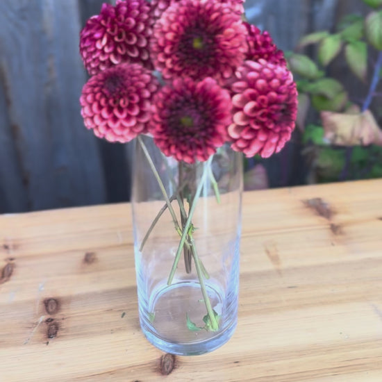 Bouquet of Copper Boy Dahlia  flowers in a clear glass vase on an oak table. Backdrop is a weathered grey cedar barn wall. 
