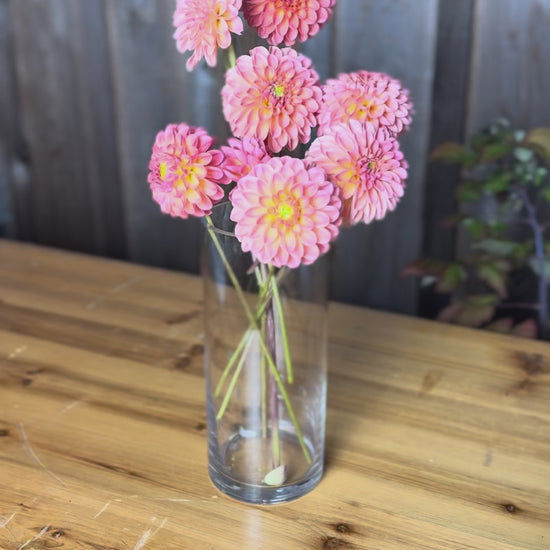 bouquet of LATE dahlia flowers close up of petals colors are pinky coral 