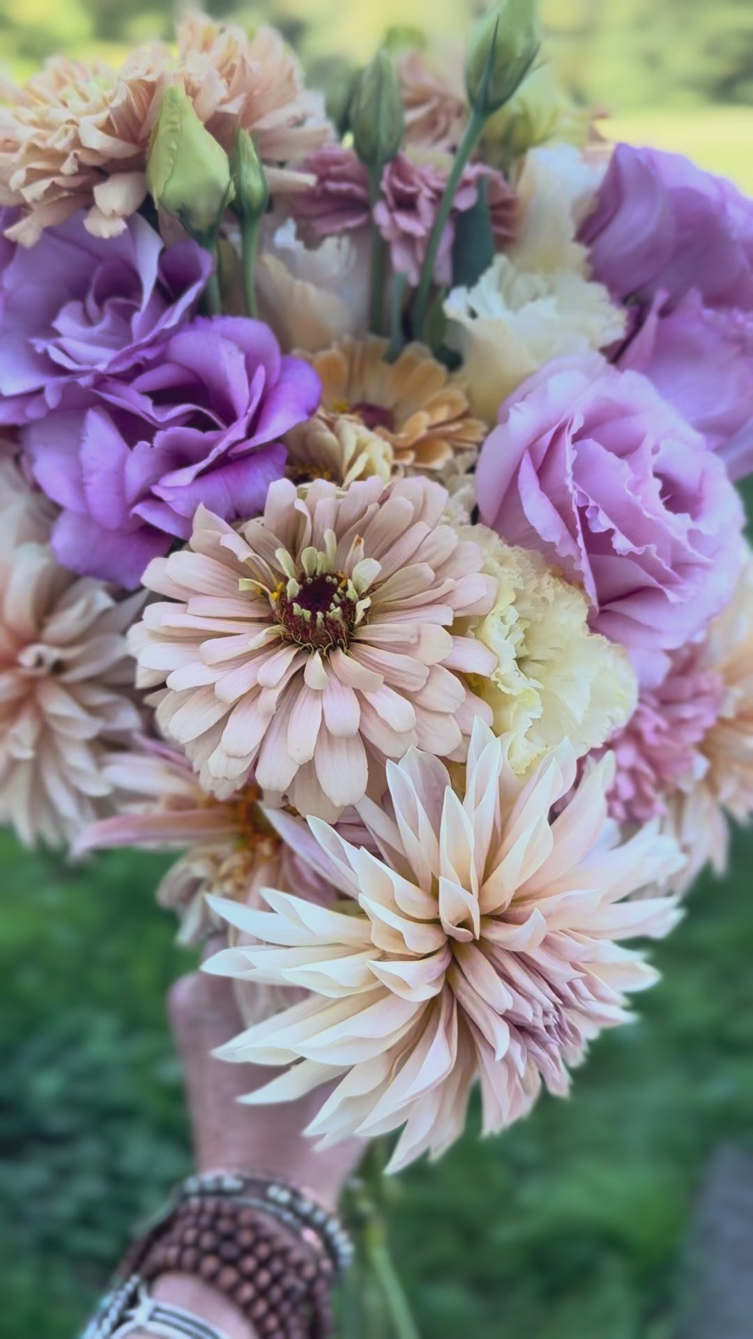 Cut Flower Garden Starter Kit - FOR SALE - Langley  BC