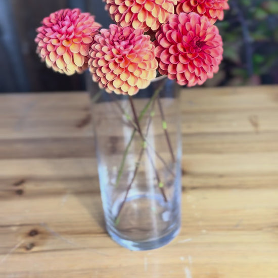 Dahlia flower bouquet in glass clear vase - Valley Rust Bucket Dahlias VIDEO
