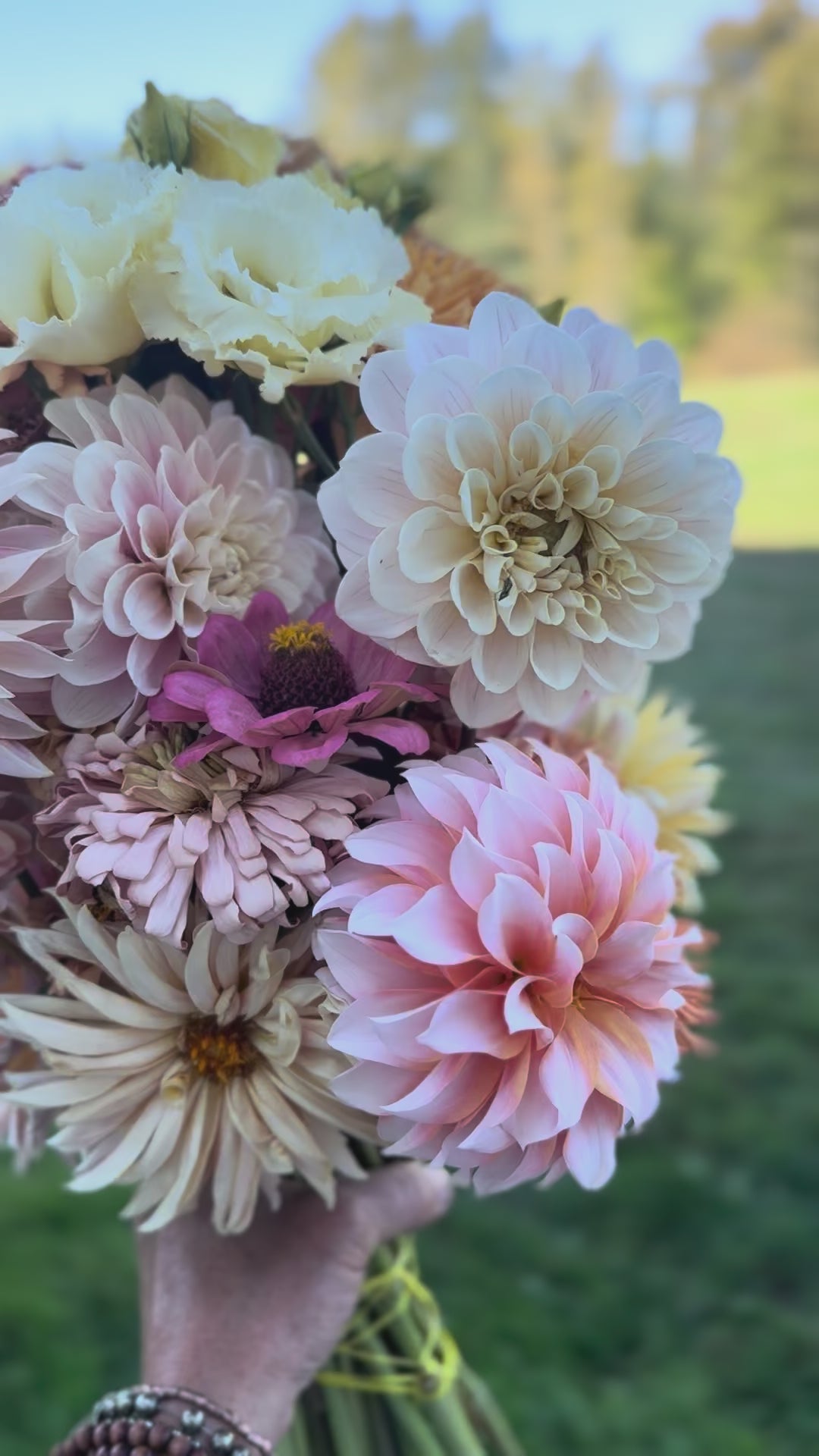 Cut Flower Garden Starter Kit - FOR SALE - Fraser Valley BC