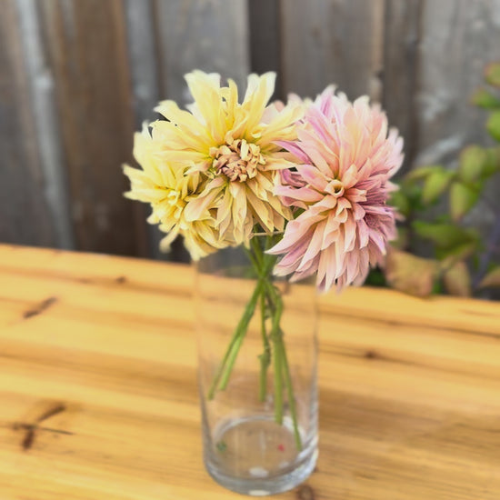 Video of Cafe de Paris dahlia blooms in a clear vase on a wood table outside, the backdrop is the outside of a cedar wood barn wall 